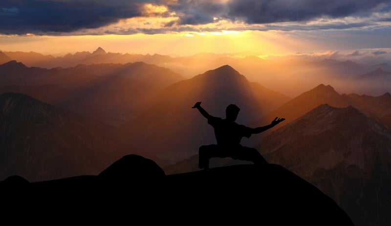Yang Style Chinese Martial Arts